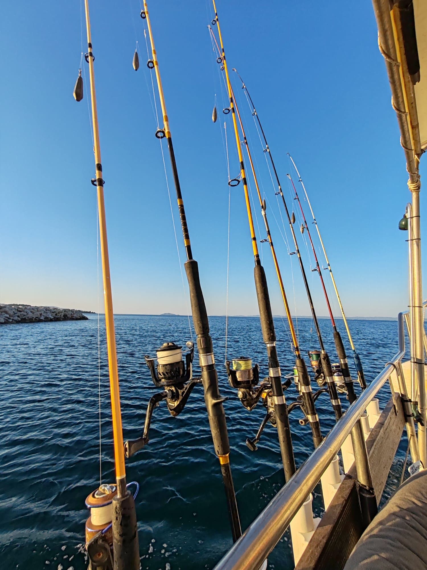 Fishing rods and reels arranged on the side of the boat